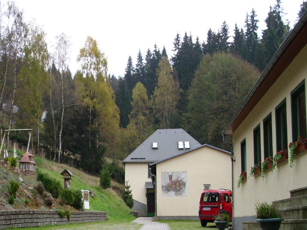 Pension Waldidyll Stützerbach Exteriör bild