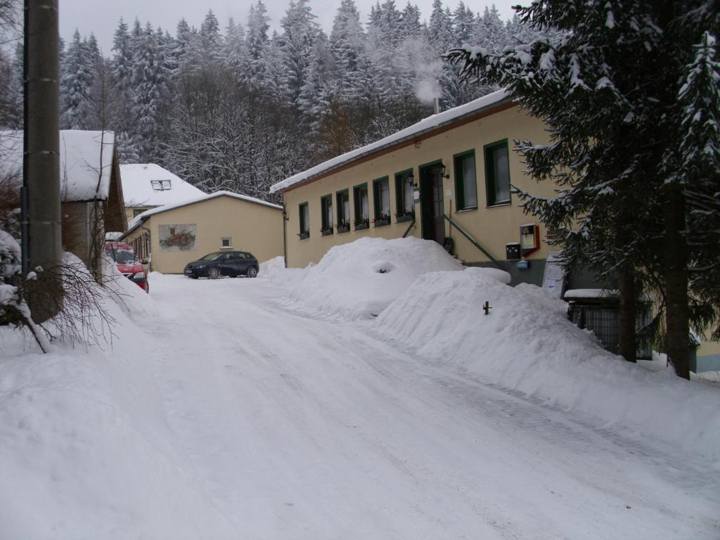 Pension Waldidyll Stützerbach Exteriör bild