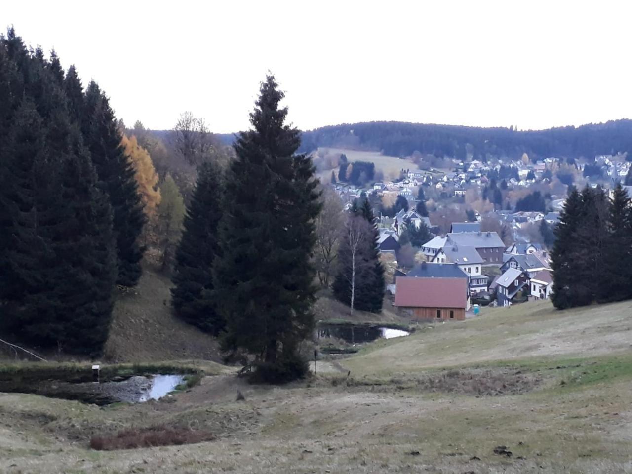 Pension Waldidyll Stützerbach Exteriör bild